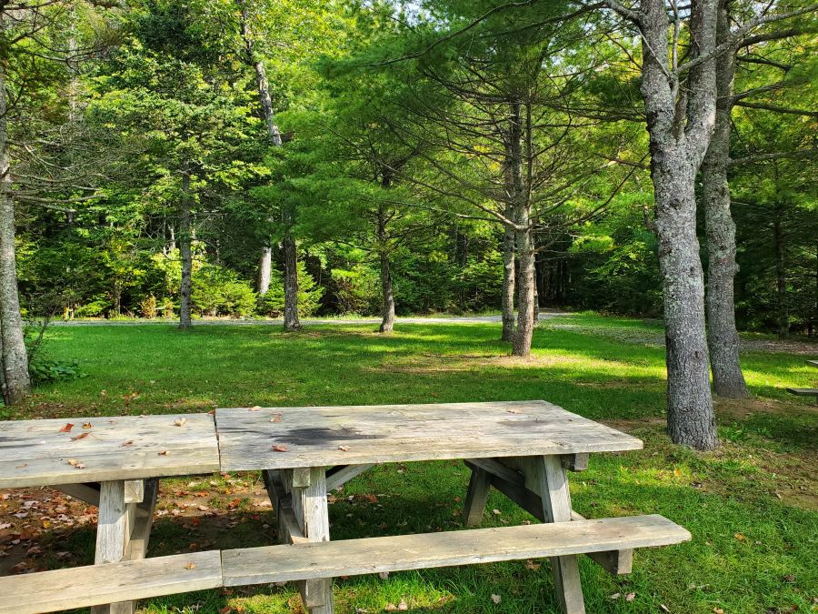 avhMusqImgSliderV1IMG