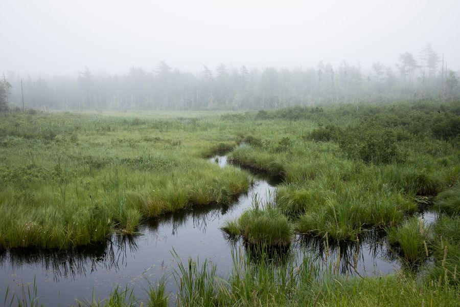 avhMusqImgSliderV1IMG