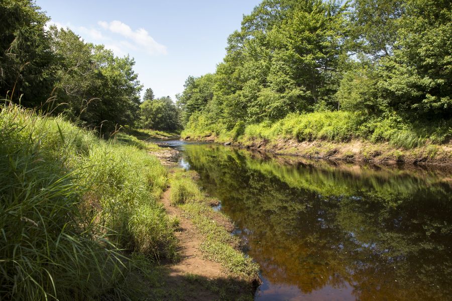 avhMusqImgSliderV1IMG