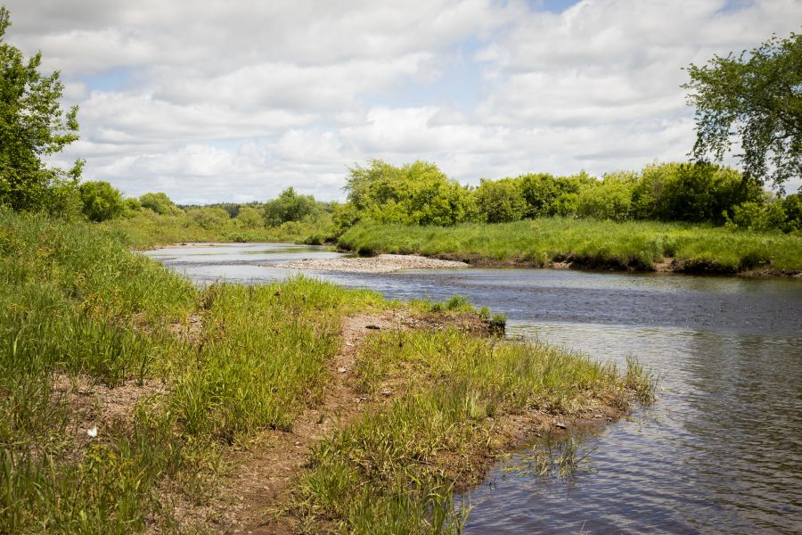 avhMusqImgSliderV1IMG