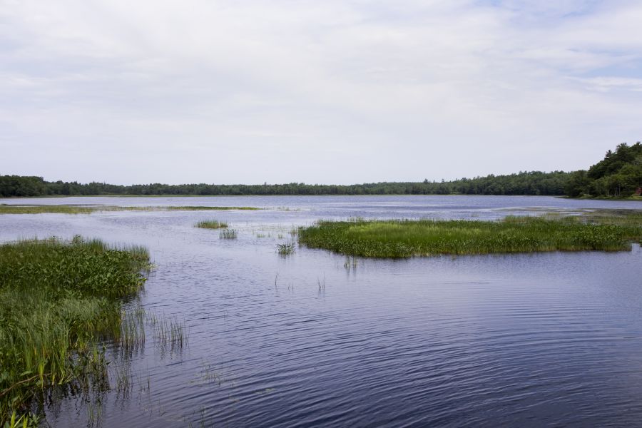 avhMusqImgSliderV1IMG