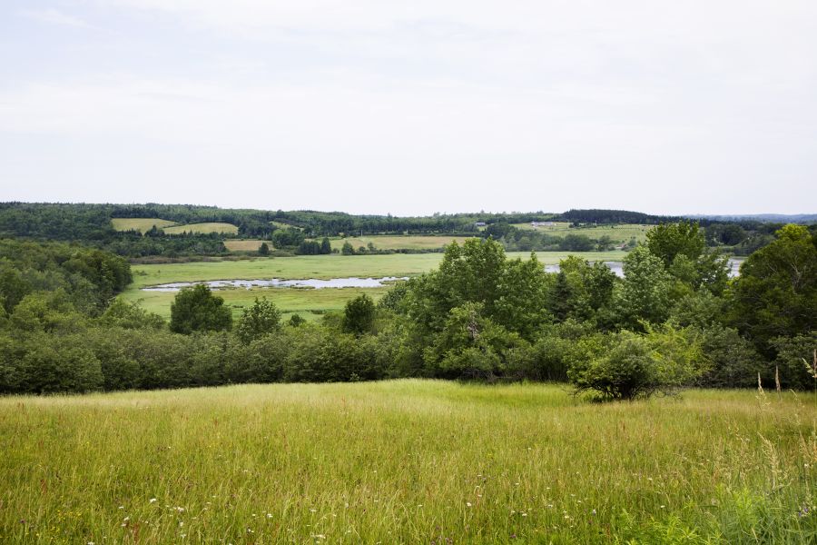 avhMusqImgSliderV1IMG