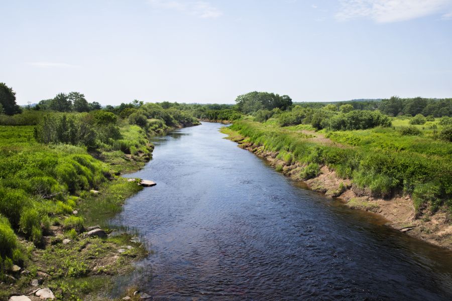 avhMusqImgSliderV1IMG