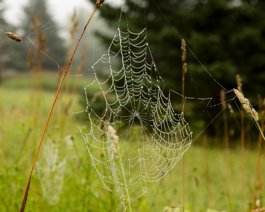 GalleryIMG12